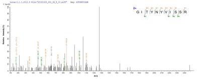 Based on the SEQUEST from database of E.coli host and target protein, the LC-MS/MS Analysis result of this product could indicate that this peptide derived from E.coli-expressed Homo sapiens (Human) DNASE1L3.Recombinant Human Deoxyribonuclease Gamma (DNASE1L3) Protein (GST)
