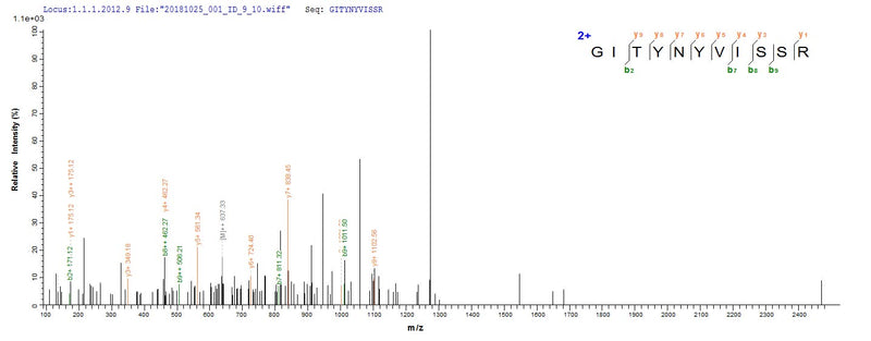 Based on the SEQUEST from database of E.coli host and target protein, the LC-MS/MS Analysis result of this product could indicate that this peptide derived from E.coli-expressed Homo sapiens (Human) DNASE1L3.Recombinant Human Deoxyribonuclease Gamma (DNASE1L3) Protein (GST)