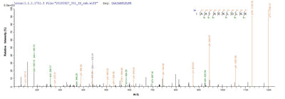 Based on the SEQUEST from database of E.coli host and target protein, the LC-MS/MS Analysis result of this product could indicate that this peptide derived from E.coli-expressed Homo sapiens (Human) POU4F2.