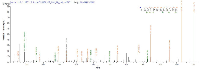 Based on the SEQUEST from database of E.coli host and target protein, the LC-MS/MS Analysis result of this product could indicate that this peptide derived from E.coli-expressed Homo sapiens (Human) POU4F2.