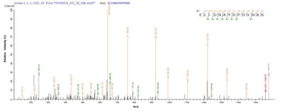 Based on the SEQUEST from database of E.coli host and target protein, the LC-MS/MS Analysis result of this product could indicate that this peptide derived from E.coli-expressed Homo sapiens (Human) MORC3.Recombinant Human Morc Family Cw-Type Zinc Finger Protein 3 (MORC3) Protein (His-SUMO)