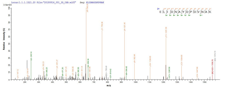 Based on the SEQUEST from database of E.coli host and target protein, the LC-MS/MS Analysis result of this product could indicate that this peptide derived from E.coli-expressed Homo sapiens (Human) MORC3.Recombinant Human Morc Family Cw-Type Zinc Finger Protein 3 (MORC3) Protein (His-SUMO)