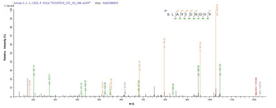 Based on the SEQUEST from database of E.coli host and target protein, the LC-MS/MS Analysis result of this product could indicate that this peptide derived from E.coli-expressed Homo sapiens (Human) MORC3.Recombinant Human Morc Family Cw-Type Zinc Finger Protein 3 (MORC3) Protein (His-SUMO)