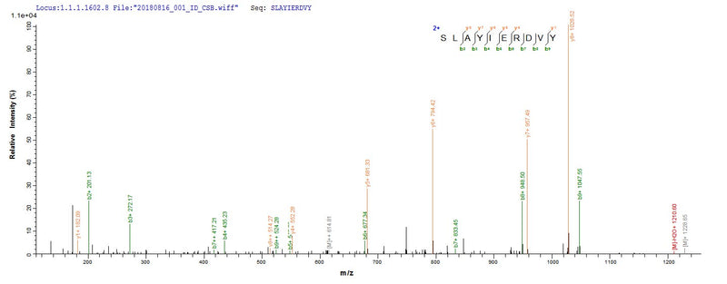Based on the SEQUEST from database of E.coli host and target protein, the LC-MS/MS Analysis result of this product could indicate that this peptide derived from E.coli-expressed Homo sapiens (Human) MORC3.Recombinant Human Morc Family Cw-Type Zinc Finger Protein 3 (MORC3) Protein (His-SUMO)