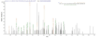 Based on the SEQUEST from database of E.coli host and target protein, the LC-MS/MS Analysis result of this product could indicate that this peptide derived from E.coli-expressed Homo sapiens (Human) PLA2R1.Recombinant Human Secretory Phospholipase A2 Receptor (PLA2R1) Protein (His)