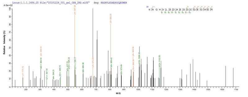 Based on the SEQUEST from database of E.coli host and target protein, the LC-MS/MS Analysis result of this product could indicate that this peptide derived from E.coli-expressed Homo sapiens (Human) PLA2R1.Recombinant Human Secretory Phospholipase A2 Receptor (PLA2R1) Protein (His)