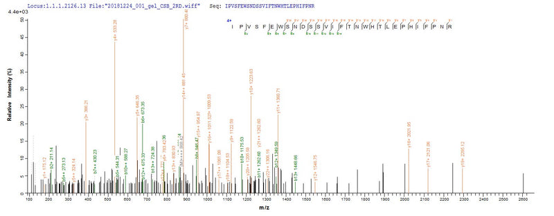 Based on the SEQUEST from database of E.coli host and target protein, the LC-MS/MS Analysis result of this product could indicate that this peptide derived from E.coli-expressed Homo sapiens (Human) PLA2R1.Recombinant Human Secretory Phospholipase A2 Receptor (PLA2R1) Protein (His)