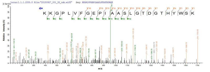 Based on the SEQUEST from database of E.coli host and target protein, the LC-MS/MS Analysis result of this product could indicate that this peptide derived from E.coli-expressed Homo sapiens (Human) CRMP1.