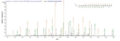 Based on the SEQUEST from database of E.coli host and target protein, the LC-MS/MS Analysis result of this product could indicate that this peptide derived from E.coli-expressed Homo sapiens (Human) CRMP1.