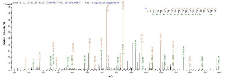 Based on the SEQUEST from database of E.coli host and target protein, the LC-MS/MS Analysis result of this product could indicate that this peptide derived from E.coli-expressed Homo sapiens (Human) CRMP1.