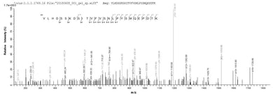 Based on the SEQUEST from database of E.coli host and target protein, the LC-MS/MS Analysis result of this product could indicate that this peptide derived from E.coli-expressed Homo sapiens (Human) SART3.Recombinant Human Squamous Cell Carcinoma Antigen Recognized By T-Cells 3 (SART3) Protein (His-SUMO)