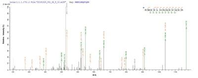 Based on the SEQUEST from database of E.coli host and target protein, the LC-MS/MS Analysis result of this product could indicate that this peptide derived from E.coli-expressed Homo sapiens (Human) NONO.Recombinant Human Non-Pou Domain-Containing Octamer-Binding Protein (NONO) Protein (His)