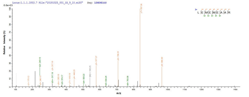 Based on the SEQUEST from database of E.coli host and target protein, the LC-MS/MS Analysis result of this product could indicate that this peptide derived from E.coli-expressed Homo sapiens (Human) NONO.Recombinant Human Non-Pou Domain-Containing Octamer-Binding Protein (NONO) Protein (His)