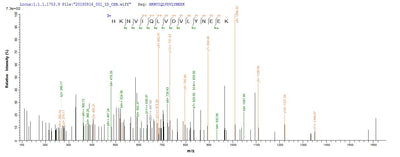 Based on the SEQUEST from database of E.coli host and target protein, the LC-MS/MS Analysis result of this product could indicate that this peptide derived from E.coli-expressed Homo sapiens (Human) STK11.Recombinant Human Serine/Threonine-Protein Kinase Stk11 (STK11) Protein (His-SUMO)