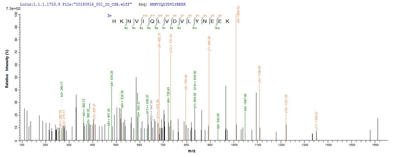Based on the SEQUEST from database of E.coli host and target protein, the LC-MS/MS Analysis result of this product could indicate that this peptide derived from E.coli-expressed Homo sapiens (Human) STK11.Recombinant Human Serine/Threonine-Protein Kinase Stk11 (STK11) Protein (His-SUMO)