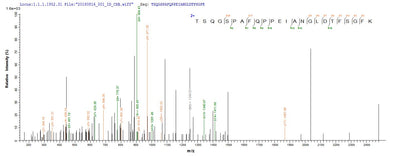 Based on the SEQUEST from database of E.coli host and target protein, the LC-MS/MS Analysis result of this product could indicate that this peptide derived from E.coli-expressed Homo sapiens (Human) STK11.Recombinant Human Serine/Threonine-Protein Kinase Stk11 (STK11) Protein (His-SUMO)