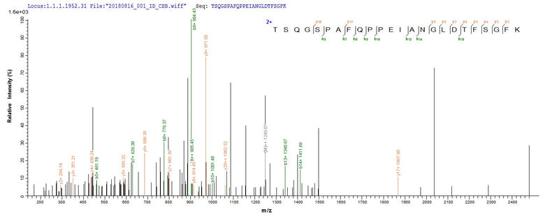 Based on the SEQUEST from database of E.coli host and target protein, the LC-MS/MS Analysis result of this product could indicate that this peptide derived from E.coli-expressed Homo sapiens (Human) STK11.Recombinant Human Serine/Threonine-Protein Kinase Stk11 (STK11) Protein (His-SUMO)
