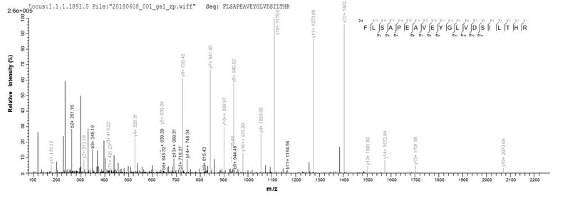 Based on the SEQUEST from database of E.coli host and target protein, the LC-MS/MS Analysis result of this product could indicate that this peptide derived from E.coli-expressed Escherichia coli (strain UTI89 / UPEC) clpP.