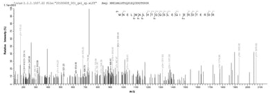 Based on the SEQUEST from database of E.coli host and target protein, the LC-MS/MS Analysis result of this product could indicate that this peptide derived from E.coli-expressed Escherichia coli (strain UTI89 / UPEC) clpP.