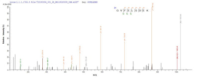 Based on the SEQUEST from database of E.coli host and target protein, the LC-MS/MS Analysis result of this product could indicate that this peptide derived from E.coli-expressed Influenza A virus (strain A/Port Chalmers/1/1973 H3N2) NP.Recombinant Influenza A Virus Nucleoprotein (NP) Protein (His-SUMO)