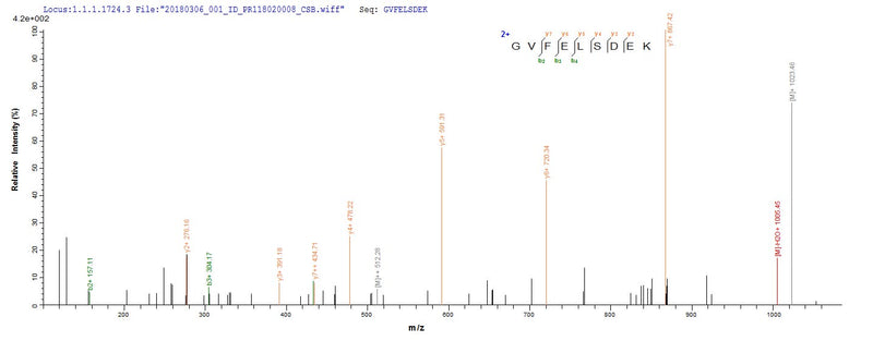 Based on the SEQUEST from database of E.coli host and target protein, the LC-MS/MS Analysis result of this product could indicate that this peptide derived from E.coli-expressed Influenza A virus (strain A/Port Chalmers/1/1973 H3N2) NP.Recombinant Influenza A Virus Nucleoprotein (NP) Protein (His-SUMO)