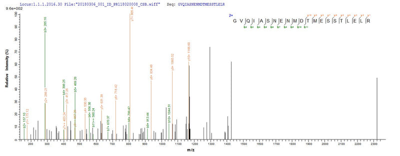 Based on the SEQUEST from database of E.coli host and target protein, the LC-MS/MS Analysis result of this product could indicate that this peptide derived from E.coli-expressed Influenza A virus (strain A/Port Chalmers/1/1973 H3N2) NP.Recombinant Influenza A Virus Nucleoprotein (NP) Protein (His-SUMO)