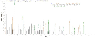 Based on the SEQUEST from database of E.coli host and target protein, the LC-MS/MS Analysis result of this product could indicate that this peptide derived from E.coli-expressed Caenorhabditis elegans bca-1.