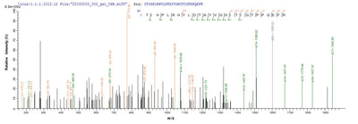 Based on the SEQUEST from database of E.coli host and target protein, the LC-MS/MS Analysis result of this product could indicate that this peptide derived from E.coli-expressed Bos taurus (Bovine) PAG2.Recombinant Bovine Pregnancy-Associated Glycoprotein 2 (PAG2) Protein (His)