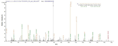 Based on the SEQUEST from database of E.coli host and target protein, the LC-MS/MS Analysis result of this product could indicate that this peptide derived from E.coli-expressed Bos taurus (Bovine) PRKRA.