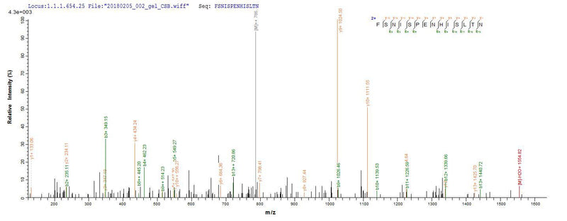 Based on the SEQUEST from database of E.coli host and target protein, the LC-MS/MS Analysis result of this product could indicate that this peptide derived from E.coli-expressed Bos taurus (Bovine) PRKRA.
