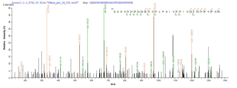 Based on the SEQUEST from database of E.coli host and target protein, the LC-MS/MS Analysis result of this product could indicate that this peptide derived from E.coli-expressed Bos taurus (Bovine) PAG1.Recombinant Bovine Pregnancy-Associated Glycoprotein 1 (PAG1) Protein (His)
