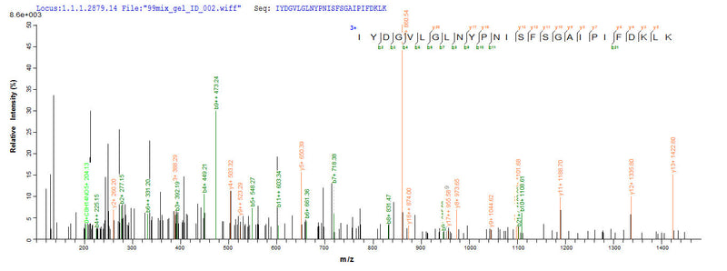 Based on the SEQUEST from database of E.coli host and target protein, the LC-MS/MS Analysis result of this product could indicate that this peptide derived from E.coli-expressed Bos taurus (Bovine) PAG1.Recombinant Bovine Pregnancy-Associated Glycoprotein 1 (PAG1) Protein (His)
