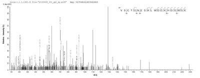 Based on the SEQUEST from database of E.coli host and target protein, the LC-MS/MS Analysis result of this product could indicate that this peptide derived from E.coli-expressed Mus musculus (Mouse) Cd163.Recombinant Mouse Scavenger Receptor Cysteine-Rich Type 1 Protein M130 (CD163) Protein (His)