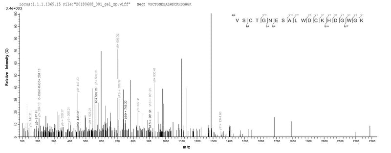 Based on the SEQUEST from database of E.coli host and target protein, the LC-MS/MS Analysis result of this product could indicate that this peptide derived from E.coli-expressed Mus musculus (Mouse) Cd163.Recombinant Mouse Scavenger Receptor Cysteine-Rich Type 1 Protein M130 (CD163) Protein (His)