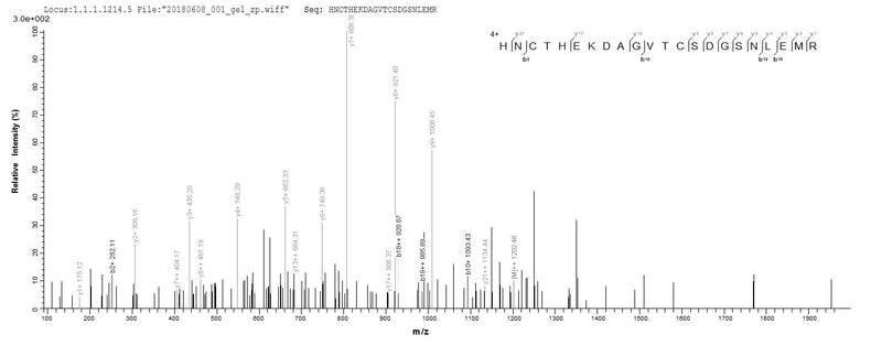 Based on the SEQUEST from database of E.coli host and target protein, the LC-MS/MS Analysis result of this product could indicate that this peptide derived from E.coli-expressed Mus musculus (Mouse) Cd163.Recombinant Mouse Scavenger Receptor Cysteine-Rich Type 1 Protein M130 (CD163) Protein (His)