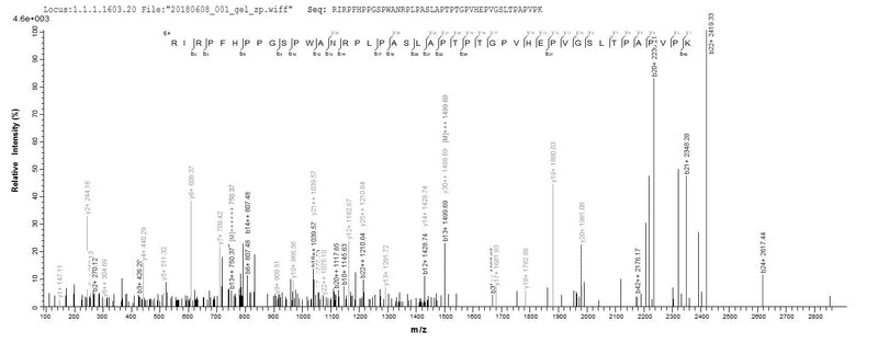 Based on the SEQUEST from database of E.coli host and target protein, the LC-MS/MS Analysis result of this product could indicate that this peptide derived from E.coli-expressed Epstein-Barr virus (strain GD1) (HHV-4) (Human herpesvirus 4) BRLF1.Recombinant Epstein-Barr Virus Replication And Transcription Activator (BRLF1) Protein (His&Myc)