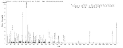 Based on the SEQUEST from database of E.coli host and target protein, the LC-MS/MS Analysis result of this product could indicate that this peptide derived from E.coli-expressed Epstein-Barr virus (strain GD1) (HHV-4) (Human herpesvirus 4) BRLF1.Recombinant Epstein-Barr Virus Replication And Transcription Activator (BRLF1) Protein (His&Myc)