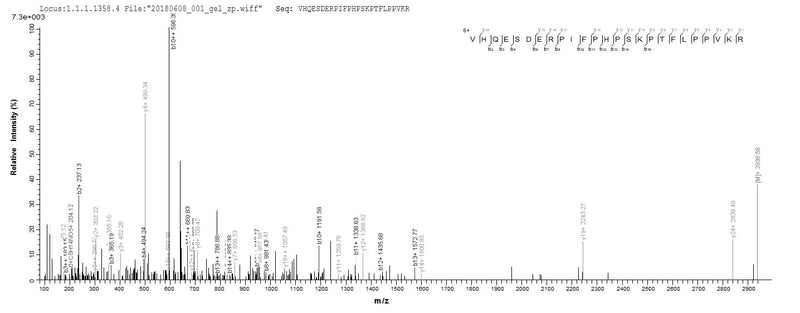 Based on the SEQUEST from database of E.coli host and target protein, the LC-MS/MS Analysis result of this product could indicate that this peptide derived from E.coli-expressed Epstein-Barr virus (strain GD1) (HHV-4) (Human herpesvirus 4) BRLF1.Recombinant Epstein-Barr Virus Replication And Transcription Activator (BRLF1) Protein (His&Myc)