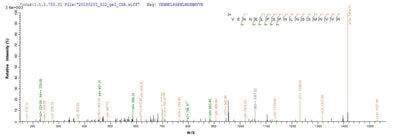 Based on the SEQUEST from database of E.coli host and target protein, the LC-MS/MS Analysis result of this product could indicate that this peptide derived from E.coli-expressed Mus musculus (Mouse) Milr1.Recombinant Mouse Allergin-1 (MILR1) Protein (His&Myc)