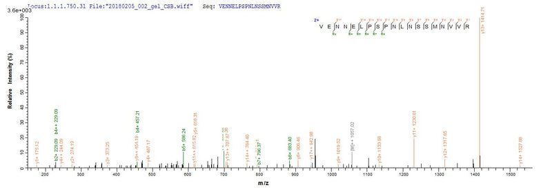Based on the SEQUEST from database of E.coli host and target protein, the LC-MS/MS Analysis result of this product could indicate that this peptide derived from E.coli-expressed Mus musculus (Mouse) Milr1.Recombinant Mouse Allergin-1 (MILR1) Protein (His&Myc)