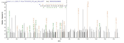 Based on the SEQUEST from database of E.coli host and target protein, the LC-MS/MS Analysis result of this product could indicate that this peptide derived from E.coli-expressed Mus musculus (Mouse) Milr1.Recombinant Mouse Allergin-1 (MILR1) Protein (His&Myc)