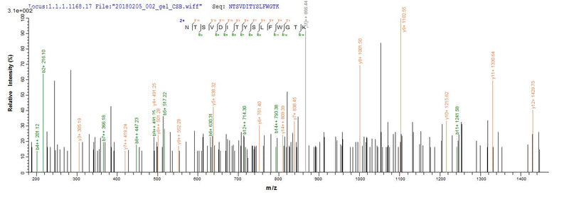 Based on the SEQUEST from database of E.coli host and target protein, the LC-MS/MS Analysis result of this product could indicate that this peptide derived from E.coli-expressed Mus musculus (Mouse) Milr1.Recombinant Mouse Allergin-1 (MILR1) Protein (His&Myc)