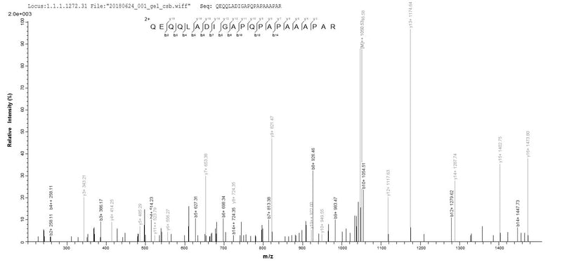 Based on the SEQUEST from database of E.coli host and target protein, the LC-MS/MS Analysis result of this product could indicate that this peptide derived from E.coli-expressed Epstein-Barr virus (strain GD1) (HHV-4) (Human herpesvirus 4) BZLF1.