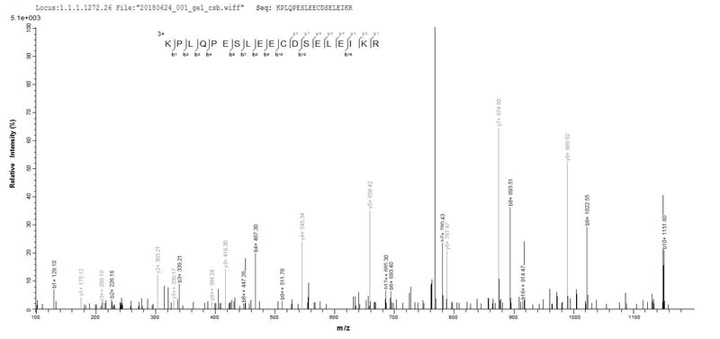 Based on the SEQUEST from database of E.coli host and target protein, the LC-MS/MS Analysis result of this product could indicate that this peptide derived from E.coli-expressed Epstein-Barr virus (strain GD1) (HHV-4) (Human herpesvirus 4) BZLF1.