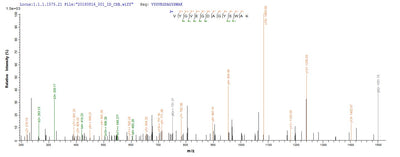 Based on the SEQUEST from database of E.coli host and target protein, the LC-MS/MS Analysis result of this product could indicate that this peptide derived from E.coli-expressed Brucella abortus biovar 1 (strain 9-941) omp25.