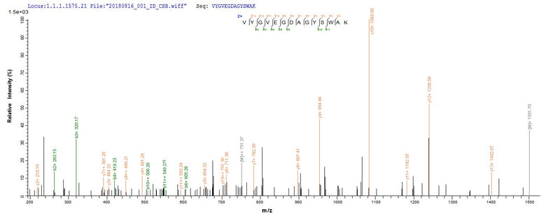 Based on the SEQUEST from database of E.coli host and target protein, the LC-MS/MS Analysis result of this product could indicate that this peptide derived from E.coli-expressed Brucella abortus biovar 1 (strain 9-941) omp25.