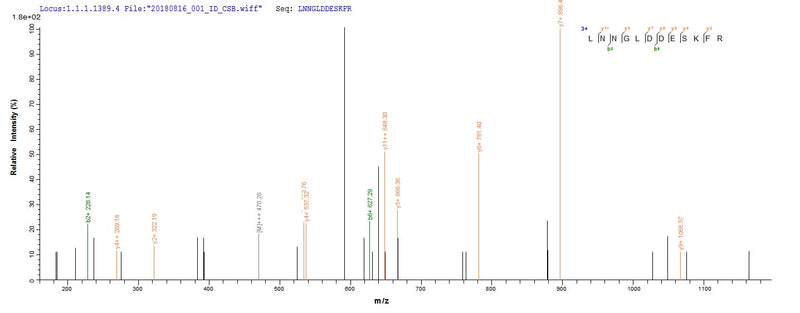 Based on the SEQUEST from database of E.coli host and target protein, the LC-MS/MS Analysis result of this product could indicate that this peptide derived from E.coli-expressed Brucella abortus biovar 1 (strain 9-941) omp25.