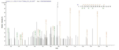 Based on the SEQUEST from database of E.coli host and target protein, the LC-MS/MS Analysis result of this product could indicate that this peptide derived from E.coli-expressed Homo sapiens (Human) TIGIT.Recombinant Human T-Cell Immunoreceptor With Ig And Itim Domains (TIGIT) Protein (His-SUMO)