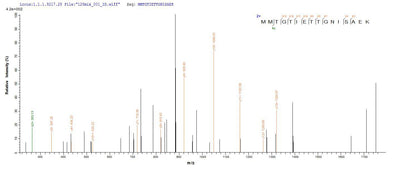 Based on the SEQUEST from database of E.coli host and target protein, the LC-MS/MS Analysis result of this product could indicate that this peptide derived from E.coli-expressed Homo sapiens (Human) TIGIT.Recombinant Human T-Cell Immunoreceptor With Ig And Itim Domains (TIGIT) Protein (His-SUMO)