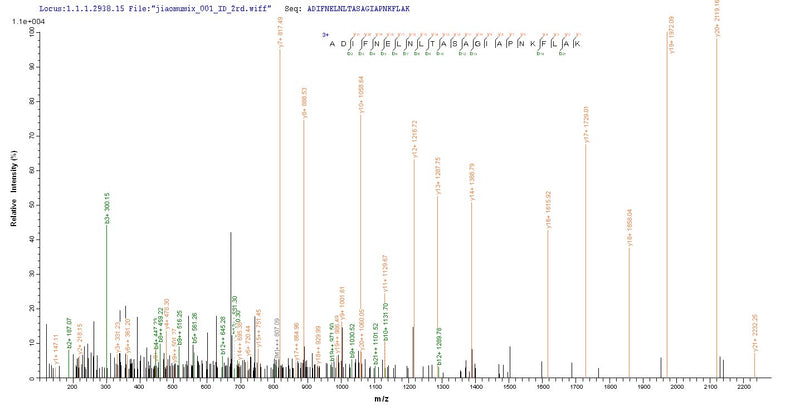 Based on the SEQUEST from database of E.coli host and target protein, the LC-MS/MS Analysis result of this product could indicate that this peptide derived from E.coli-expressed Colwellia psychrerythraea (strain 34H / ATCC BAA-681) (Vibrio psychroerythus) dinB.Recombinant Colwellia Psychrerythraea Dna Polymerase Iv (DINB) Protein (His)